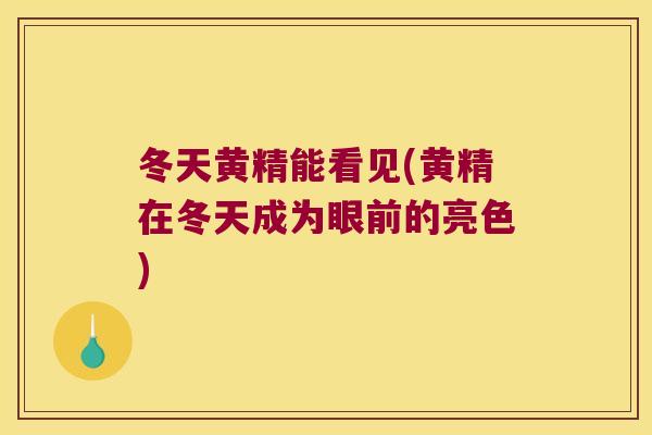 冬天黄精能看见(黄精在冬天成为眼前的亮色)