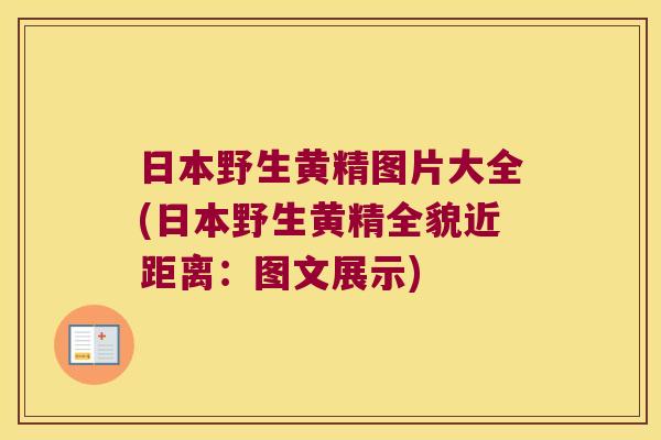 日本野生黄精图片大全(日本野生黄精全貌近距离：图文展示)