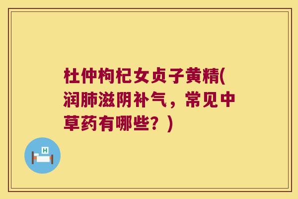 杜仲枸杞女贞子黄精(润滋阴，常见中草药有哪些？)
