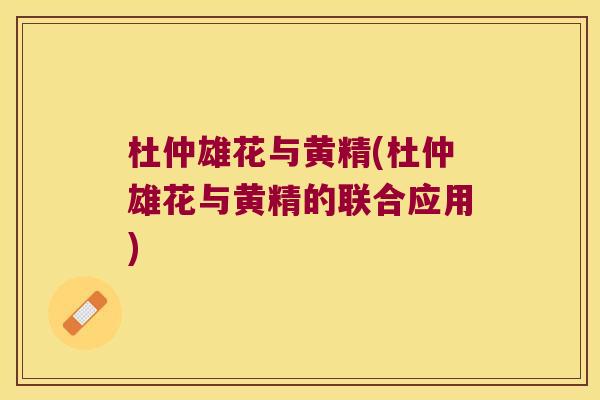 杜仲雄花与黄精(杜仲雄花与黄精的联合应用) 杜仲雄花与黄精(杜仲雄花与黄精的联合应用)