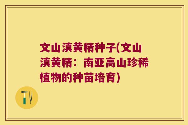 文山滇黄精种子(文山滇黄精:南亚高山珍稀植物的种苗培育) 文山滇黄精种子(文山滇黄精:南亚高山珍稀植物的种苗培育)