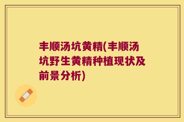 丰顺汤坑黄精(丰顺汤坑野生黄精种植现状及前景分析) 丰顺汤坑黄精(丰顺汤坑野生黄精种植现状及前景分析)