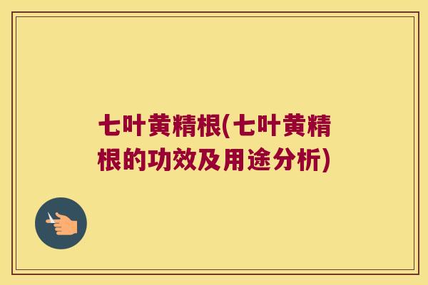 七叶黄精根(七叶黄精根的功效及用途分析) 七叶黄精根(七叶黄精根的功效及用途分析)