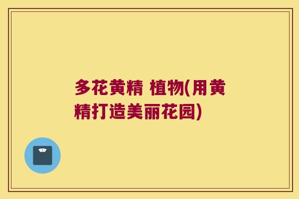多花黄精 植物(用黄精打造美丽花园) 多花黄精 植物(用黄精打造美丽花园)