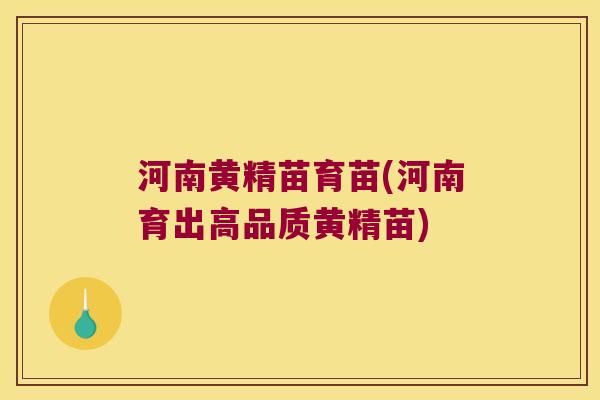 河南黄精苗育苗(河南育出高品质黄精苗)