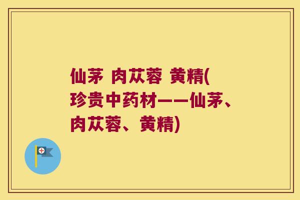 仙茅 肉苁蓉 黄精(珍贵材——仙茅、肉苁蓉、黄精)