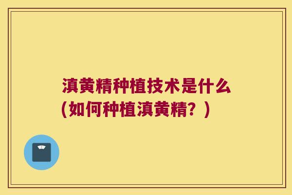 滇黄精种植技术是什么(如何种植滇黄精？)