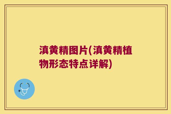 滇黄精图片(滇黄精植物形态特点详解) 滇黄精图片(滇黄精植物形态特点详解)