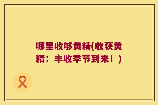 哪里收够黄精(收获黄精：丰收季节到来！)