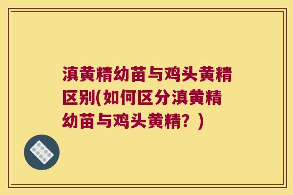 滇黄精幼苗与鸡头黄精区别(如何区分滇黄精幼苗与鸡头黄精？)