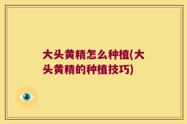 大头黄精怎么种植(大头黄精的种植技巧) 大头黄精怎么种植(大头黄精的种植技巧)