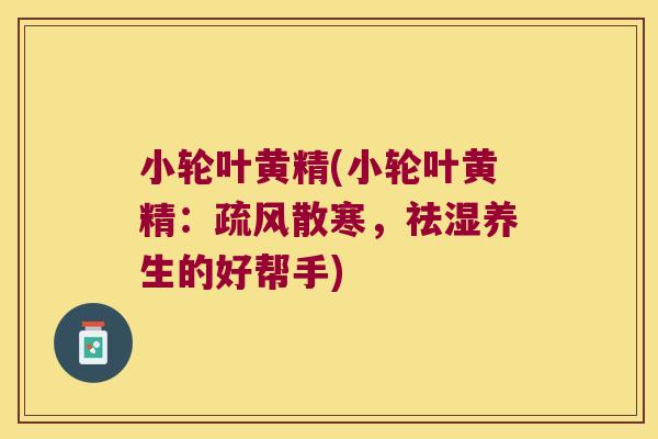 小轮叶黄精(小轮叶黄精:疏风散寒,祛湿养生的好帮手) 小轮叶黄精(小轮叶黄精:疏风散寒,祛湿养生的好帮手)