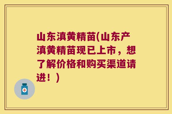 山东滇黄精苗(山东产滇黄精苗现已上市，想了解价格和购买渠道请进！)