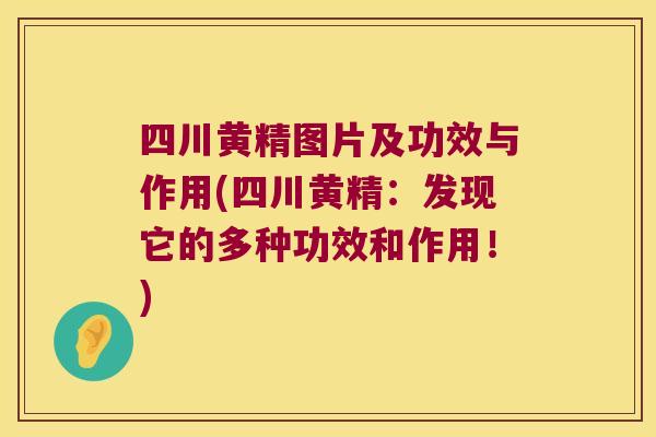 四川黄精图片及功效与作用(四川黄精:发现它的多种功效和作用!) 四川黄精图片及功效与作用(四川黄精:发现它的多种功效和作用!)