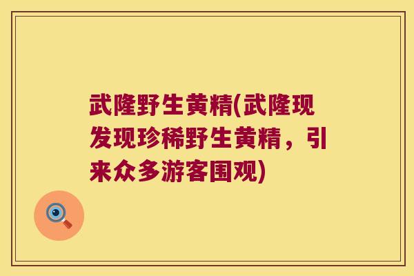 武隆野生黄精(武隆现发现珍稀野生黄精,引来众多游客围观) 武隆野生黄精(武隆现发现珍稀野生黄精,引来众多游客围观)