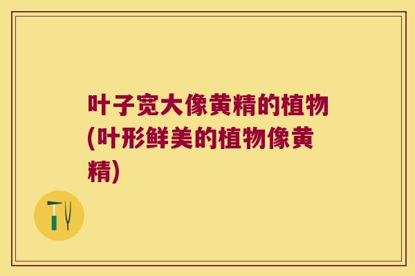 叶子宽大像黄精的植物(叶形鲜美的植物像黄精)