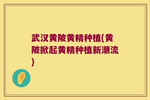 武汉黄陂黄精种植(黄陂掀起黄精种植新潮流)