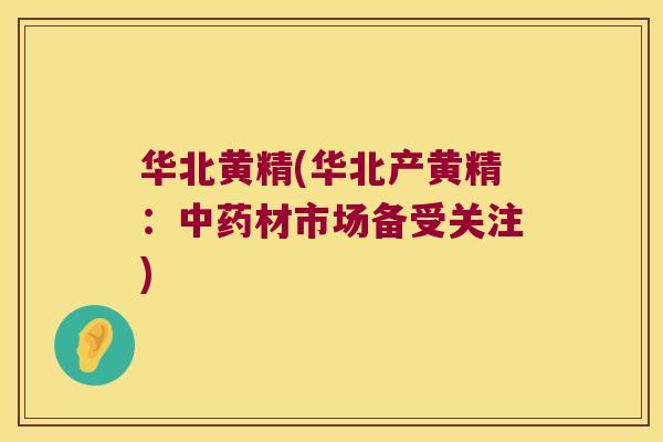 华北黄精(华北产黄精:材市场备受关注) 华北黄精(华北产黄精:材市场备受关注)