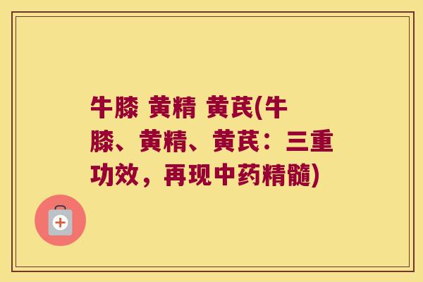 牛膝 黄精 黄芪(牛膝、黄精、黄芪：三重功效，再现精髓)