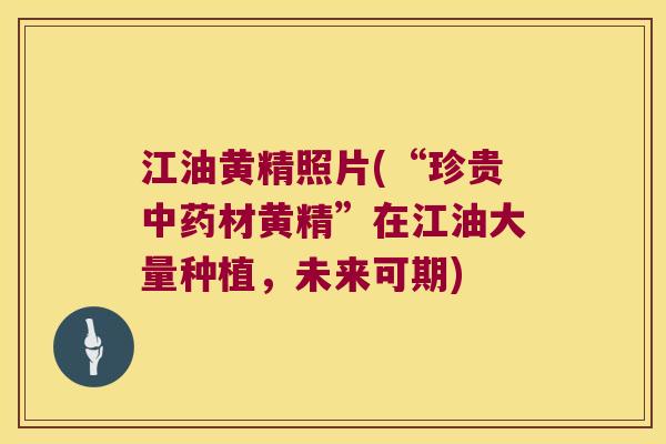 江油黄精照片(“珍贵材黄精”在江油大量种植,未来可期) 江油黄精照片(“珍贵材黄精”在江油大量种植,未来可期)