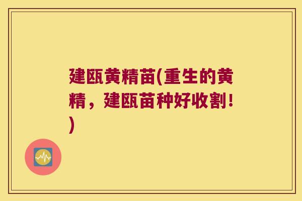 建瓯黄精苗(重生的黄精,建瓯苗种好收割!) 建瓯黄精苗(重生的黄精,建瓯苗种好收割!)