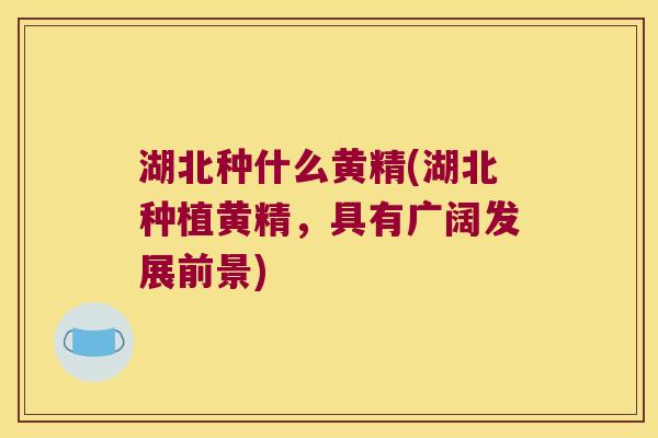 湖北种什么黄精(湖北种植黄精，具有广阔发展前景)