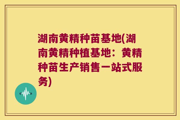 湖南黄精种苗基地(湖南黄精种植基地:黄精种苗生产销售一站式服务) 湖南黄精种苗基地(湖南黄精种植基地:黄精种苗生产销售一站式服务)
