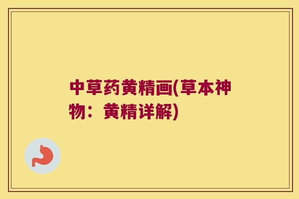 中草药黄精画(草本神物：黄精详解)
