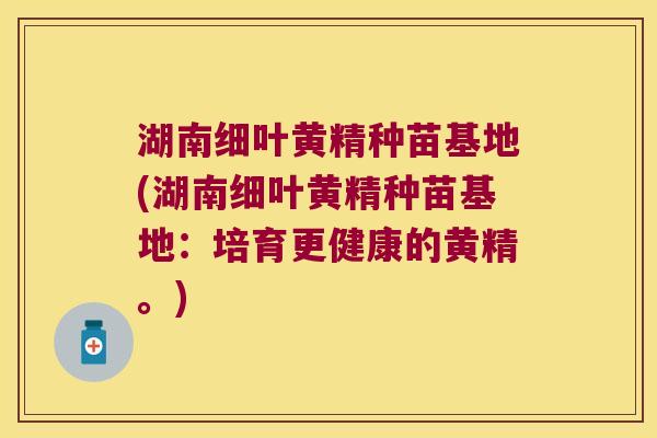 湖南细叶黄精种苗基地(湖南细叶黄精种苗基地：培育更健康的黄精。)