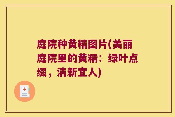 庭院种黄精图片(美丽庭院里的黄精:绿叶点缀,清新宜人) 庭院种黄精图片(美丽庭院里的黄精:绿叶点缀,清新宜人)