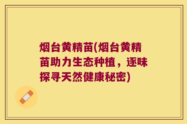 烟台黄精苗(烟台黄精苗助力生态种植,逐味探寻天然健康秘密) 烟台黄精苗(烟台黄精苗助力生态种植,逐味探寻天然健康秘密)