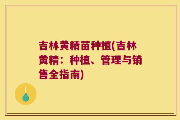 吉林黄精苗种植(吉林黄精：种植、管理与销售全指南)