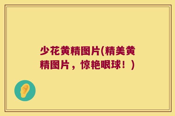 少花黄精图片(精美黄精图片,惊艳眼球!) 少花黄精图片(精美黄精图片,惊艳眼球!)