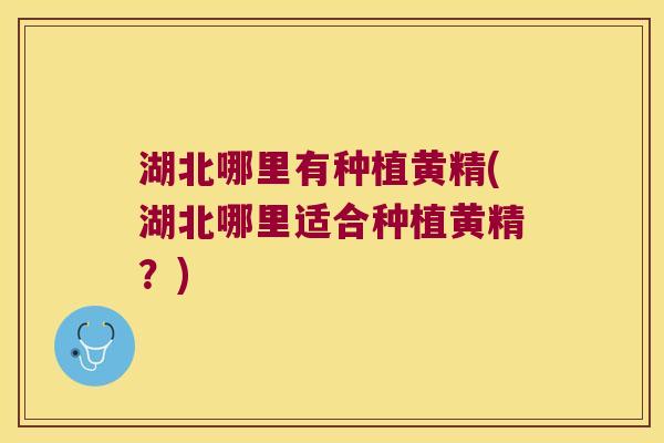湖北哪里有种植黄精(湖北哪里适合种植黄精?) 湖北哪里有种植黄精(湖北哪里适合种植黄精?)