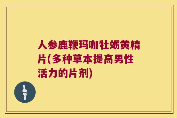 人参鹿鞭玛咖牡蛎黄精片(多种草本提高男性活力的片剂) 人参鹿鞭玛咖牡蛎黄精片(多种草本提高男性活力的片剂)