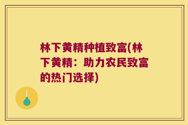 林下黄精种植致富(林下黄精：助力农民致富的热门选择)