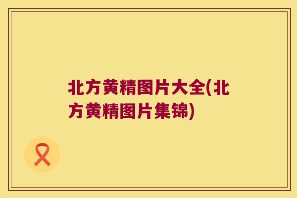 北方黄精图片大全(北方黄精图片集锦)