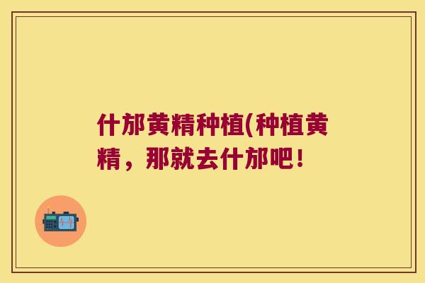 什邡黄精种植(种植黄精，那就去什邡吧！