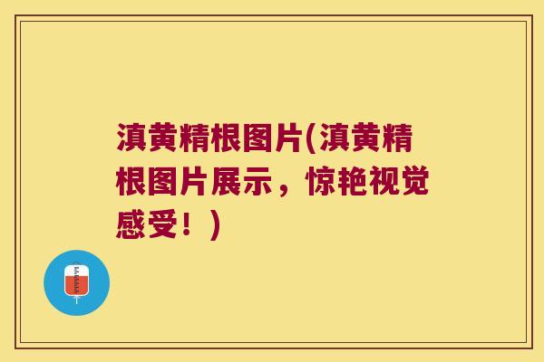 滇黄精根图片(滇黄精根图片展示,惊艳视觉感受!) 滇黄精根图片(滇黄精根图片展示,惊艳视觉感受!)