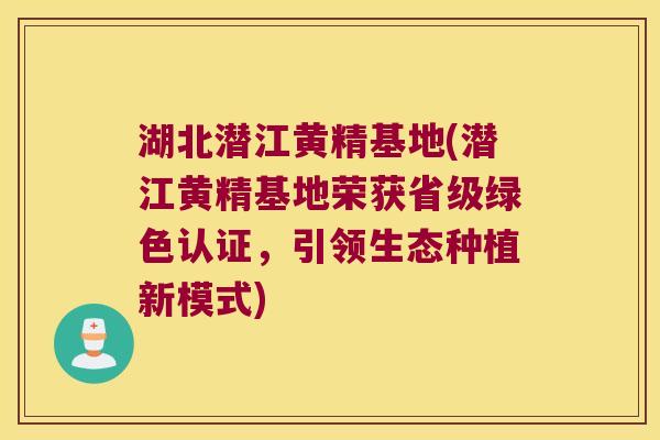 湖北潜江黄精基地(潜江黄精基地荣获省级绿色认证,引领生态种植新模式) 湖北潜江黄精基地(潜江黄精基地荣获省级绿色认证,引领生态种植新模式)