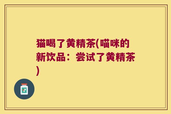 猫喝了黄精茶(喵咪的新饮品：尝试了黄精茶)