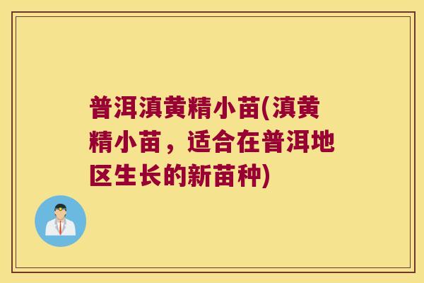 普洱滇黄精小苗(滇黄精小苗,适合在普洱地区生长的新苗种) 普洱滇黄精小苗(滇黄精小苗,适合在普洱地区生长的新苗种)