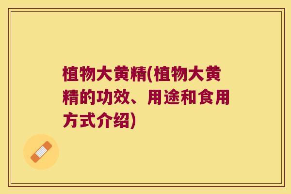 植物大黄精(植物大黄精的功效、用途和食用方式介绍) 植物大黄精(植物大黄精的功效、用途和食用方式介绍)