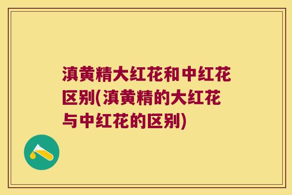 滇黄精大红花和中红花区别(滇黄精的大红花与中红花的区别)