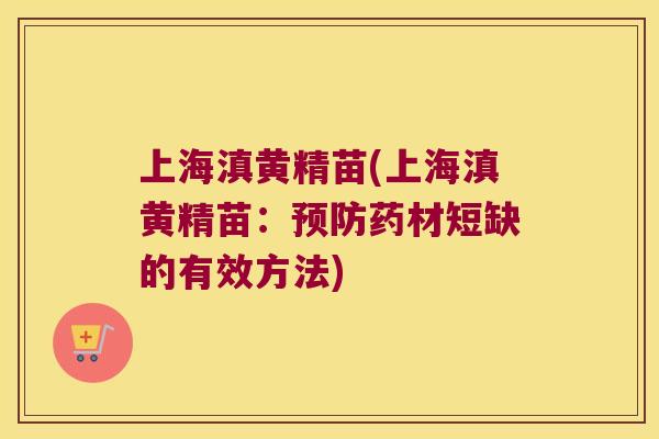 上海滇黄精苗(上海滇黄精苗：药材短缺的有效方法)