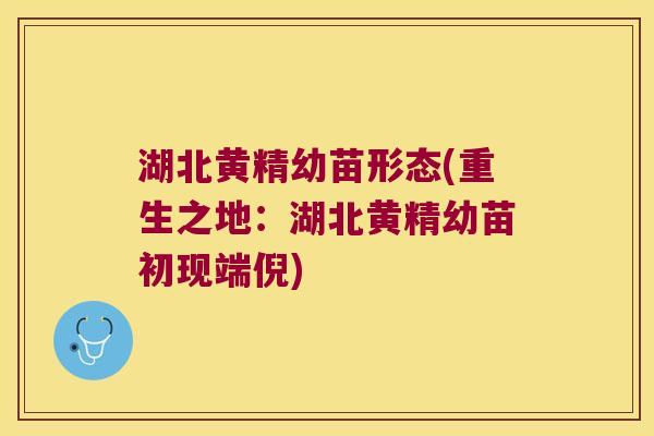 湖北黄精幼苗形态(重生之地:湖北黄精幼苗初现端倪) 湖北黄精幼苗形态(重生之地:湖北黄精幼苗初现端倪)