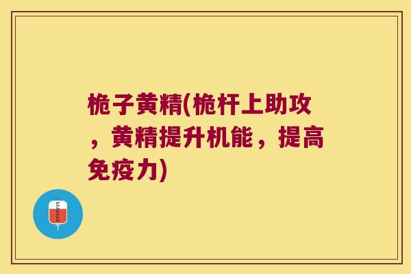 桅子黄精(桅杆上助攻，黄精提升机能，提高力)