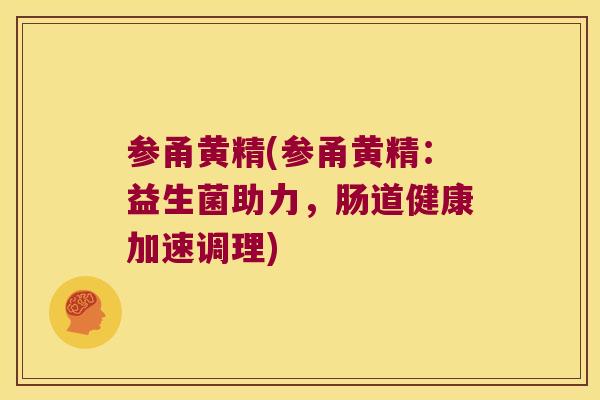 参甬黄精(参甬黄精:益生菌助力,肠道健康加速调理) 参甬黄精(参甬黄精:益生菌助力,肠道健康加速调理)