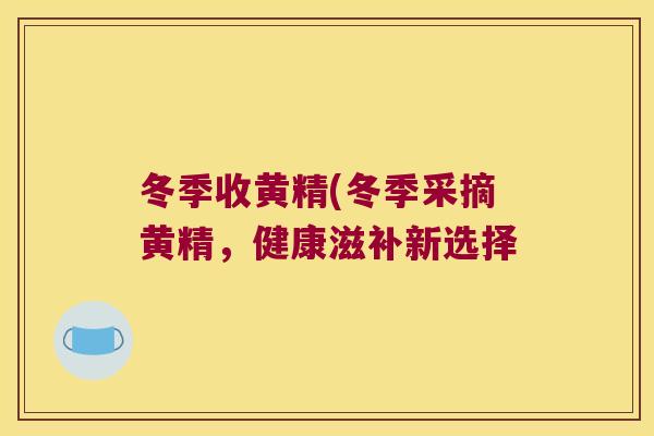 冬季收黄精(冬季采摘黄精，健康滋补新选择