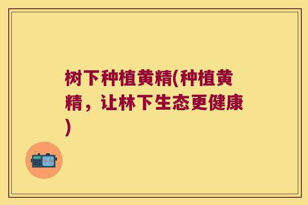 树下种植黄精(种植黄精，让林下生态更健康)